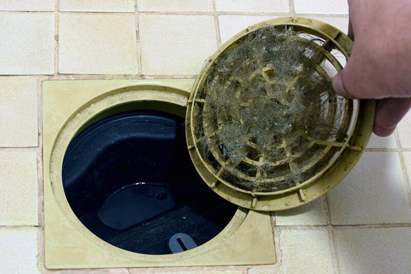 Blocked Shower Drain Unblocked in Winchester Hampshire